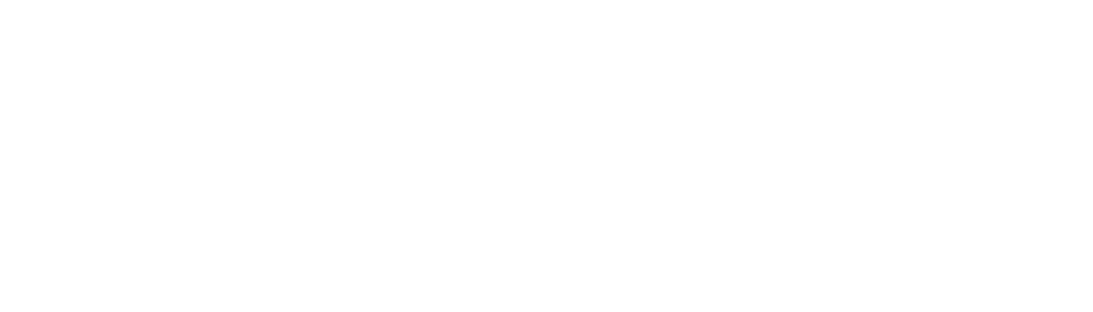 SSI-Logo